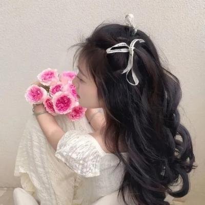 棕泉春光